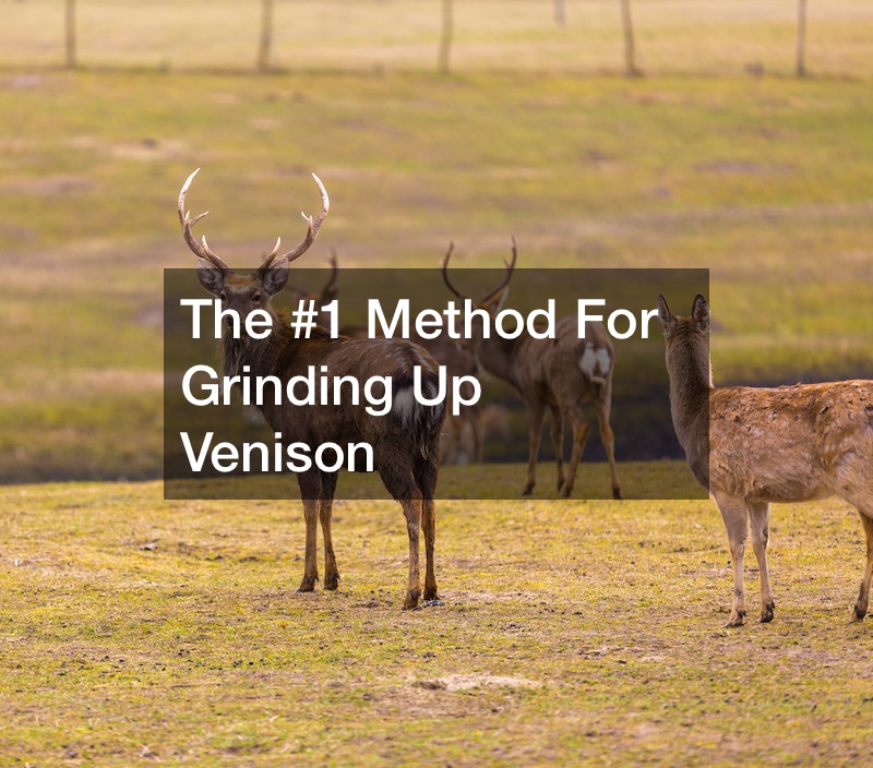 The #1 Method For Grinding Up Venison